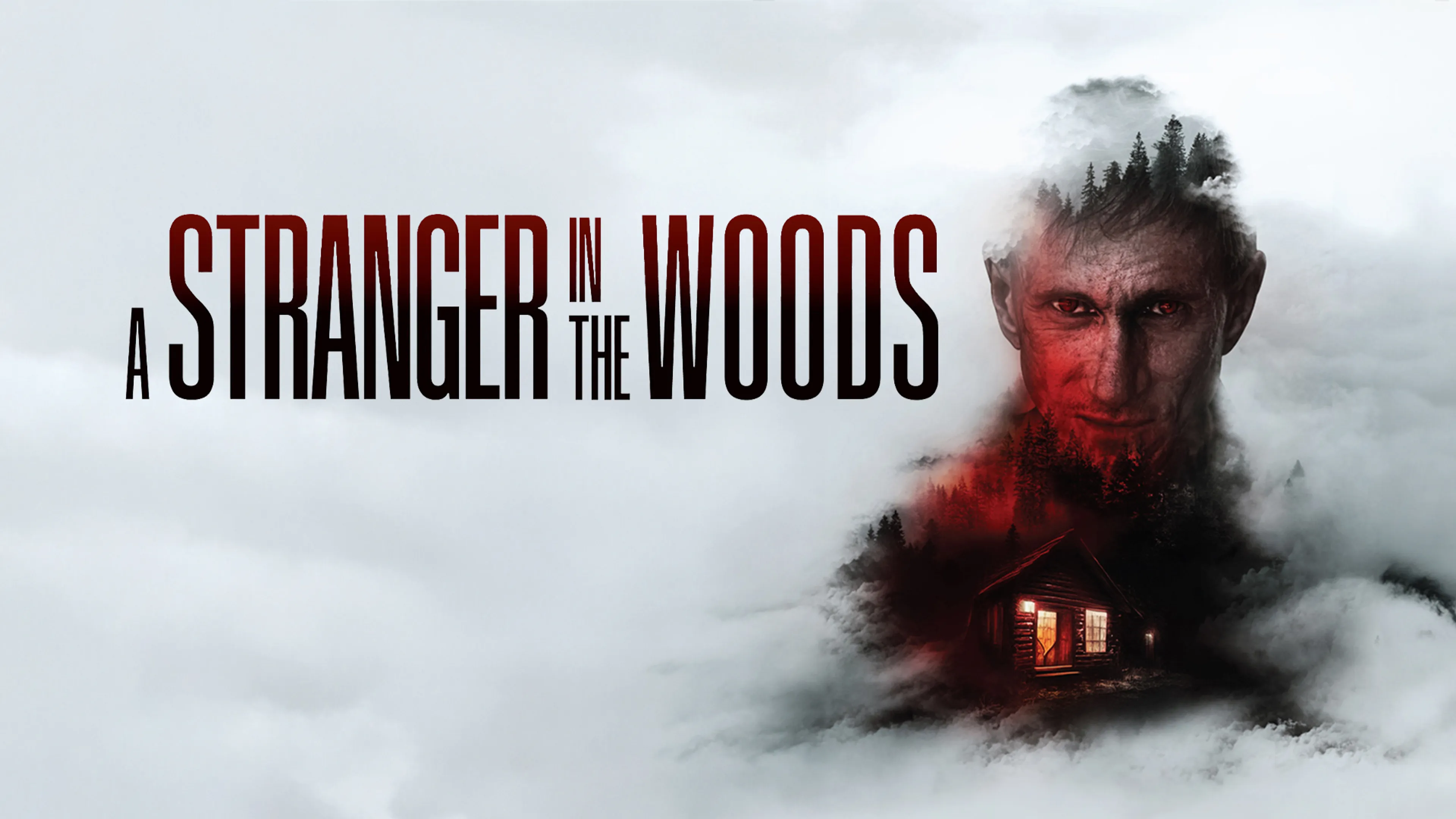A Stranger in the Woods poster